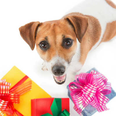 Personalized Pet Gifts